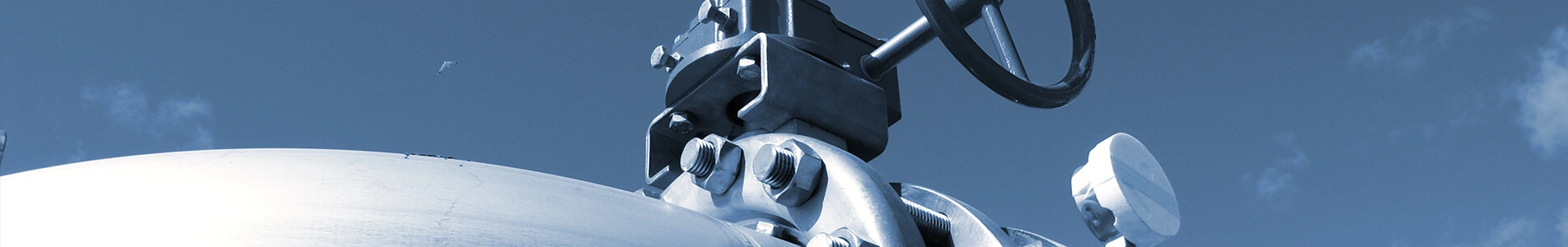 उत्पादने